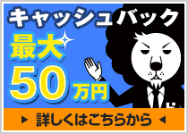 �L���b�V���o�b�N���