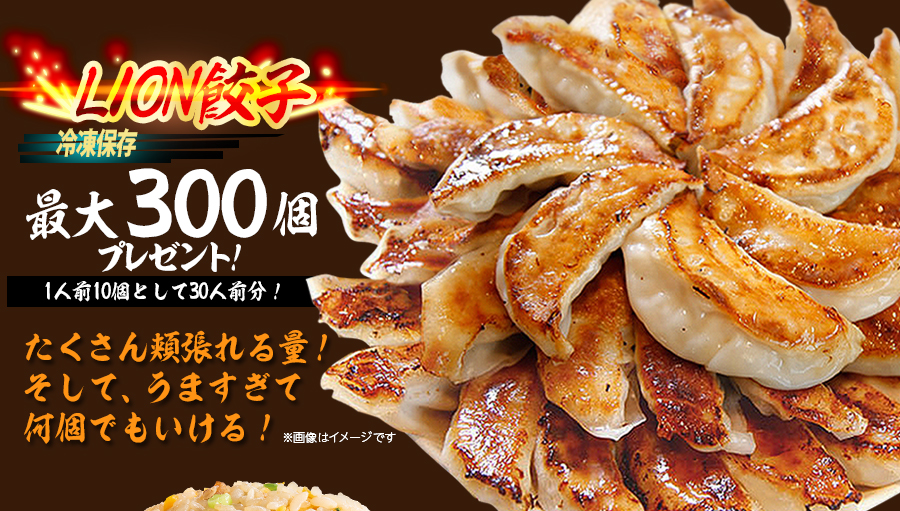 ヒロセ餃子唐揚げチャーハン中華丼総合計37袋（タレ3本、せいろ1個含む） 沼る旨さの推し中華祭り!