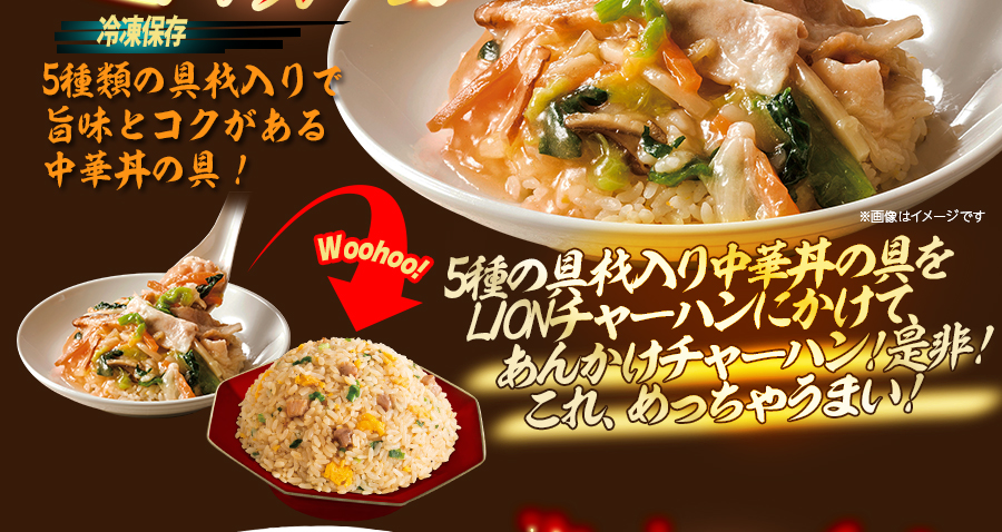 ヒロセ餃子唐揚げチャーハン中華丼総合計37袋（タレ3本、せいろ1個含む） 沼る旨さの推し中華祭り!