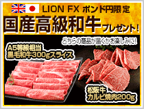 LION FXポンド円限定 国産高級和牛プレゼント!