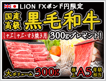 LION FXポンド円限定 国産高級黒毛和牛300gプレゼント!