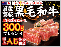 LION FX豪ドル円限定 国産高級黒毛和牛300gプレゼント!