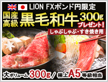 LION FXポンド円限定 国産高級黒毛和牛300gプレゼント!