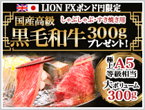 LION FXポンド円限定 国産高級黒毛和牛300gプレゼント!