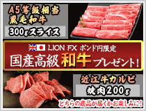 LION FXポンド円限定 国産高級黒毛和牛300gプレゼント!