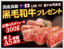 LION FX豪ドル円限定 国産高級黒毛和牛300gプレゼント!