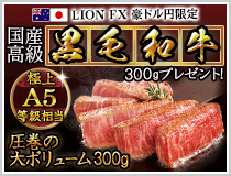 LION FX豪ドル円限定 国産高級黒毛和牛300gプレゼント!