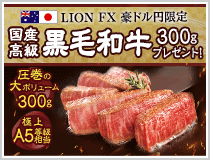 LION FX豪ドル円限定 国産高級黒毛和牛300gプレゼント!