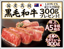 LION FX豪ドル円限定 国産高級黒毛和牛300gプレゼント!