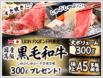 LION FXポンド円限定 国産高級黒毛和牛300gプレゼント!