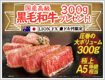 LION FX豪ドル円限定 国産高級黒毛和牛300gプレゼント!