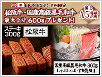 LION FXポンド円限定 松阪牛・国産高級黒毛和牛最大600gプレゼント!