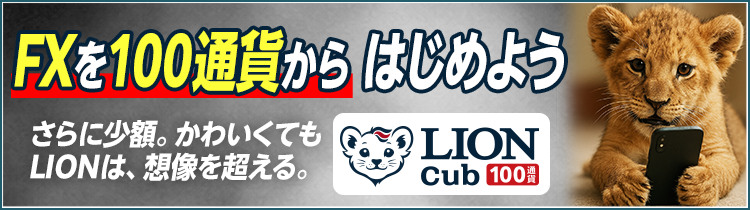 LION CFD